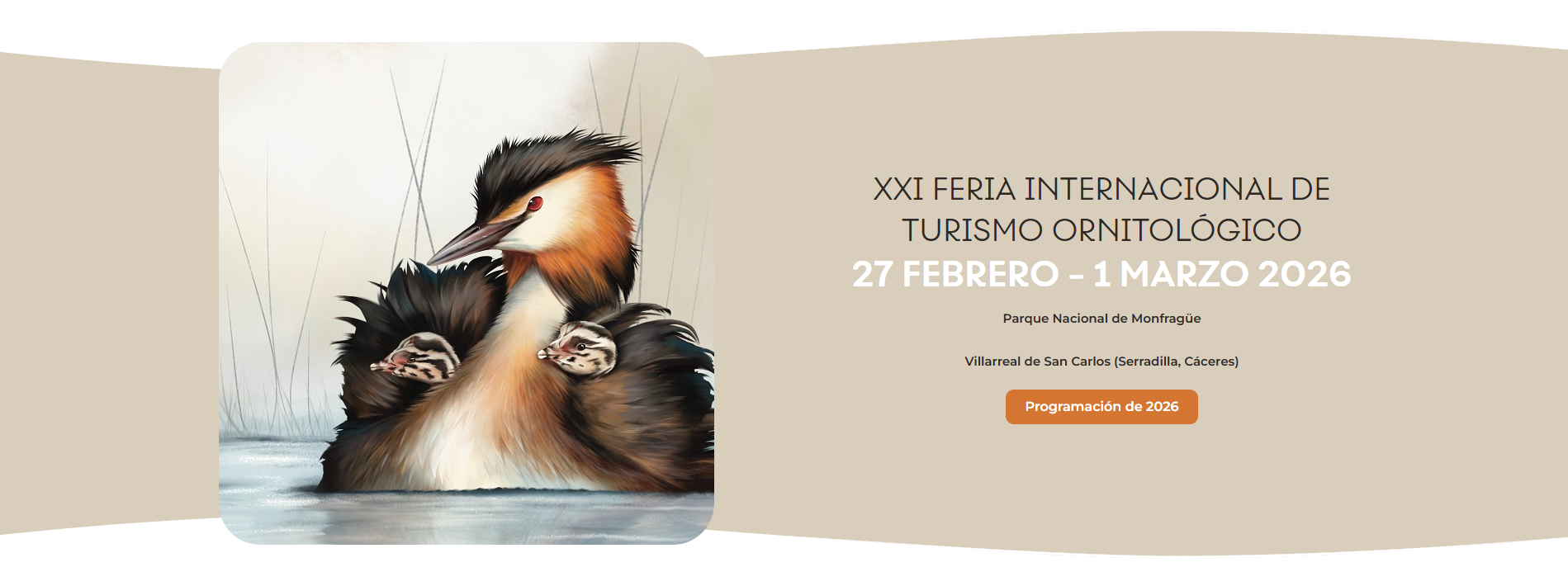 FIO 2026 - No te quedes sin Cobertura CVIP - Fibra Optica, Wifi y Movil !