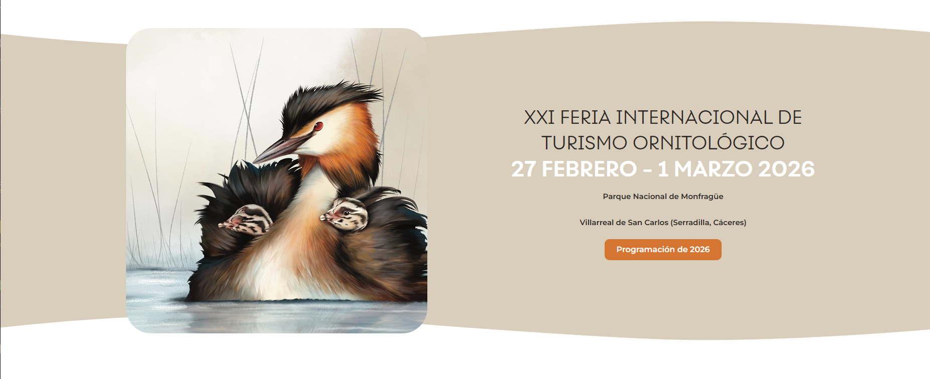 FIO 2026 - No te quedes sin Cobertura CVIP - Fibra Optica, Wifi y Movil !