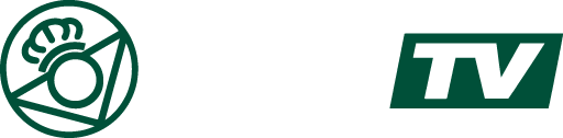 Betis TV