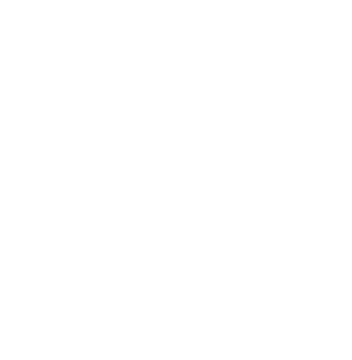 Calle 13