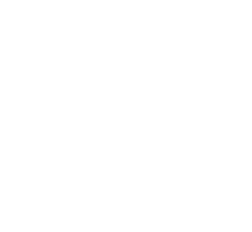 El Toro TV
